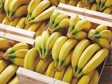 Banane en promo chez Netto Banane dans le catalogue Netto
