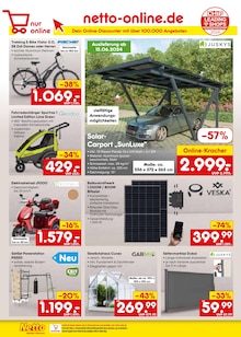 Sonnensegel im Netto Marken-Discount Prospekt "Aktuelle Angebote" mit 50 Seiten (Chemnitz)