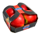 Tafeläpfel im Angebot bei EDEKA in Pinneberg Tafeläpfel Angebote von Kanzi bei EDEKA Pinneberg für 1,49 €