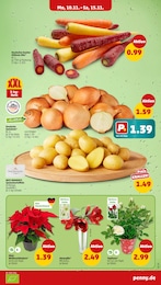 Pflanzen Angebot im aktuellen Penny Prospekt auf Seite 3