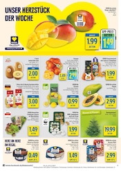 Pflanzen im diska Prospekt in Erlangen Aktueller diska Prospekt mit Pflanzen, "alles an deinem ort.", Seite 4