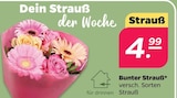 Bunter Strauß für 4,99 € bei Netto mit dem Scottie im Angebot Bunter Strauß im aktuellen Netto mit dem Scottie Prospekt