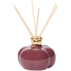 Bâtonnets parfumés citrouille - Action - Action à Meyzieu Bâtonnets parfumés citrouille - Action en promo chez Action Meyzieu à 2,49 €