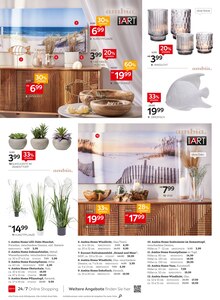 Zimmerpflanzen im XXXLutz Möbelhäuser Prospekt "BESTE Marken - Auswahl - Services - Preise" mit 15 Seiten (Nürnberg)