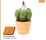 Aktuelles Plüschpflanze Angebot bei Action in Regensburg ab 2,49 €