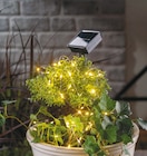 Solar-Metalldraht-Lichterkette im Angebot bei Rossmann in Rheda-Wiedenbrück Solar-Metalldraht-Lichterkette Angebote bei Rossmann Rheda-Wiedenbrück für 4,99 €