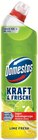 WC-Gel Kraft & Frische im Angebot bei Netto mit dem Scottie in Dresden WC-Gel Kraft & Frische Angebote von Domestos bei Netto mit dem Scottie Dresden für 1,49 €