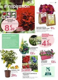 Prix et réduction Bricolage et Jardin dans le prospectus Truffaut en cours Offre Bricolage et Jardin dans le catalogue Truffaut du moment à la page 3