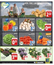 Paprika im EDEKA Prospekt in Landshut Aktueller EDEKA Prospekt mit Paprika, "Aktuelle Angebote", Seite 5