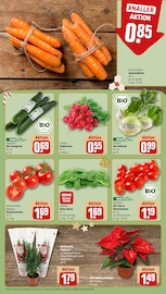 Aktueller REWE Prospekt mit Tomaten, "Dein Markt", Seite 9