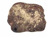 Mischbrot im V-Markt Prospekt Sylter Kruste im aktuellen V-Markt Prospekt für 2,90 €