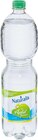Aktuelle Wasser Angebote bei Netto Marken-Discount in Bergisch Gladbach Aktuelles Wasser mit Geschmack Angebot bei Netto Marken-Discount in Bergisch Gladbach ab 0,45 €