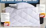 Aktuelles Ganzjahres-Steppbett Angebot bei REWE in Hamburg ab 34,99 €