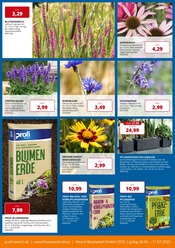 Blumenerde im PROFI Wesch Prospekt in Mühlhausen Aktueller PROFI Wesch Prospekt mit Blumenerde, "KOMPETENT. PERSÖNLICH. REGIONAL.", Seite 6