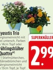 EDEKA Markt Indersdorf Prospekt mit  im Angebot für 2,99 €