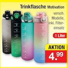 Trinkflasche Motivation Angebote bei Zimmermann Aurich für 4,99 €