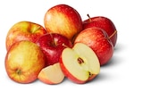 Penny Gelsenkirchen - Deutsche rote Äpfel Angebot im Prospekt Deutsche rote Äpfel bei Penny im Gelsenkirchen Prospekt für 1,79 €