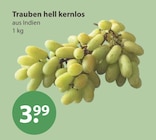 Trauben hell kernlos im V-Markt Prospekt Trauben hell kernlos von im aktuellen V-Markt Prospekt für 3,99 €