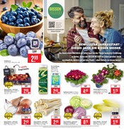 Aktueller Marktkauf Prospekt mit Garten, "Aktuelle Angebote", Seite 3