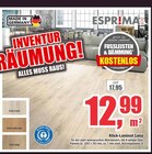 Klick-Laminat Lona Angebote von Esprima bei Schaub Vertriebs GmbH Villingen-Schwenningen für 12,99 €