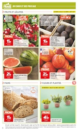 Promos Jardinage dans le catalogue "Rendez-vous PRIX BAS !" de Netto à la page 6