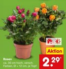 Rosen im Angebot bei Netto Marken-Discount in Saarlouis Rosen Angebote bei Netto Marken-Discount Saarlouis für 2,29 €