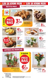Promotion Plante D'intérieur dans le prospectus Super U, valable du 06/10/2026 au 18/10/2026 Promo Plante D'intérieur dans le catalogue Super U du moment à la page 30