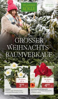 Pflanzen im Pflanzen Kölle Prospekt "GROSSER WEIHNACHTSBAUM-VERKAUF" mit 12 Seiten (Nürnberg)