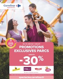 Promo Hortensia dans le catalogue Carrefour du moment à la page 82