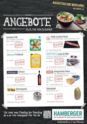 Bohrmaschine im Hamberger Prospekt in Germering Aktueller Hamberger Prospekt mit Bohrmaschine, "INDIEN", Seite 3