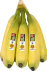 Marktkauf Grünow - Bananen Angebot im Prospekt Bananen bei Marktkauf im Grünow Prospekt für 1,19 €