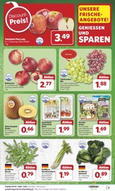 Äpfel im combi Prospekt in Cuxhaven Aktueller combi Prospekt mit Äpfel, "Markt - Angebote", Seite 3