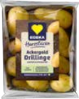 Speisekartoffeln Drillinge im Angebot bei EDEKA in Schwerin Speisekartoffeln Drillinge Angebote von EDEKA bei EDEKA Schwerin für 1,99 €