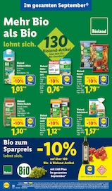 Aktueller Lidl Prospekt mit Paprika, "LIDL LOHNT SICH", Seite 54