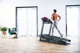 Laufband Angebote von HORIZON FITNESS bei Lidl Siegen für 549,00 €