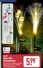 Solar-LED-Gartenstecker Flamingo Angebote von Belavi bei ALDI Nord Wuppertal für 5,99 €