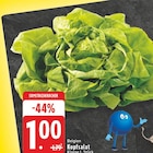 Kopfsalat bei EDEKA im Lohmar Prospekt für 1,00 €