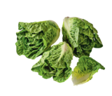 Bio-Salatherzen von tegut im aktuellen tegut Prospekt für 1,99 €