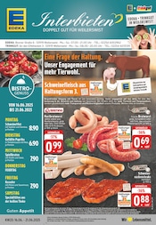 Aktueller EDEKA Supermarkt Prospekt in Swisttal und Umgebung, "Aktuelle Angebote" mit 24 Seiten, 16.06.2025 - 21.06.2025