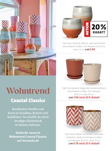 Pfanne im Moubis Pflanzenhof Prospekt "Bring Schwung in dein Zuhause" mit 29 Seiten (Münster)