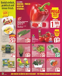 Pflanzen Angebot im aktuellen EDEKA Prospekt auf Seite 2