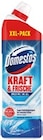 Kraft & Frische WC-Gel XXL Ocean von Domestos im aktuellen Kaufland Prospekt