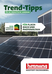 Hornung Prospekt für Rauenberg: "Trend-Tipps FÜR DIE ENERGETISCHE SANIERUNG", 8 Seiten, 04.10.2024 - 13.10.2024