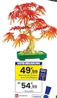 Botanicals - LEGO - JouéClub à Asnières-sur-Seine Botanicals - LEGO en promo chez JouéClub Asnières-sur-Seine à 54,99 €