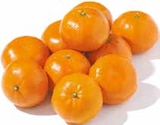 Mandarinen für 1,99 € bei Netto mit dem Scottie im Angebot Mandarinen im aktuellen Netto mit dem Scottie Prospekt