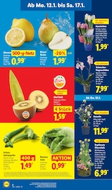 Treuepunkte Angebote im Prospekt "LIDL LOHNT SICH" von Lidl auf Seite 4