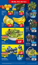 Aktueller Lidl Prospekt mit Blumen, "LIDL LOHNT SICH", Seite 3