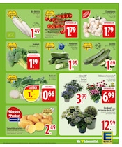 Kartoffeln im EDEKA Prospekt in Ravensburg Aktueller EDEKA Prospekt mit Kartoffeln, "Wir lieben Lebensmittel.", Seite 5