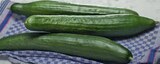 Deutsche Gurke im tegut Prospekt Deutsche Gurke von im aktuellen tegut Prospekt für 0,69 €