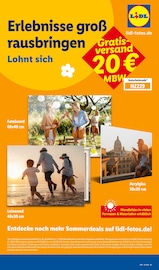 Plexiglas im Lidl Prospekt in Mülheim Aktueller Lidl Prospekt mit Plexiglas, "LIDL LOHNT SICH", Seite 65